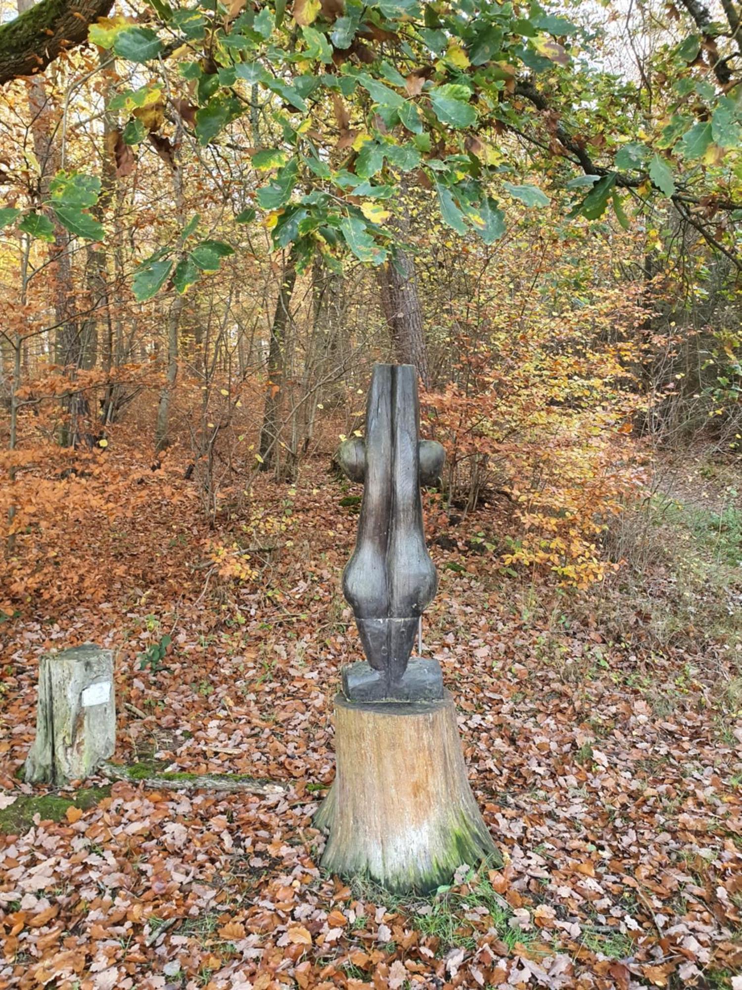 Landleben - Ferienhaus 2 Fritzlar Dış mekan fotoğraf